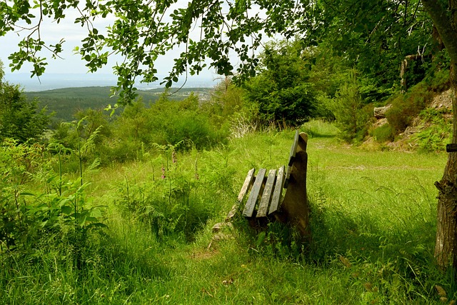 新了人们对 新了人们对