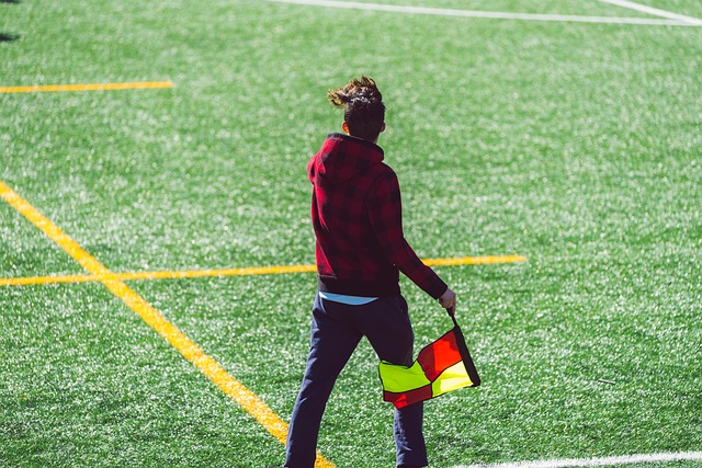 的新偶像 的新偶像