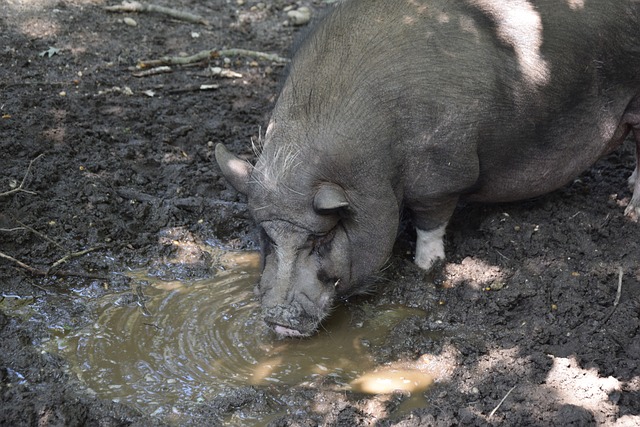 培养新一代 培养新一代