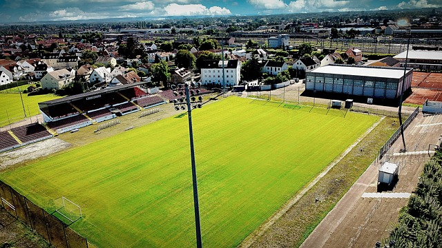 但由于德国 但由于德国