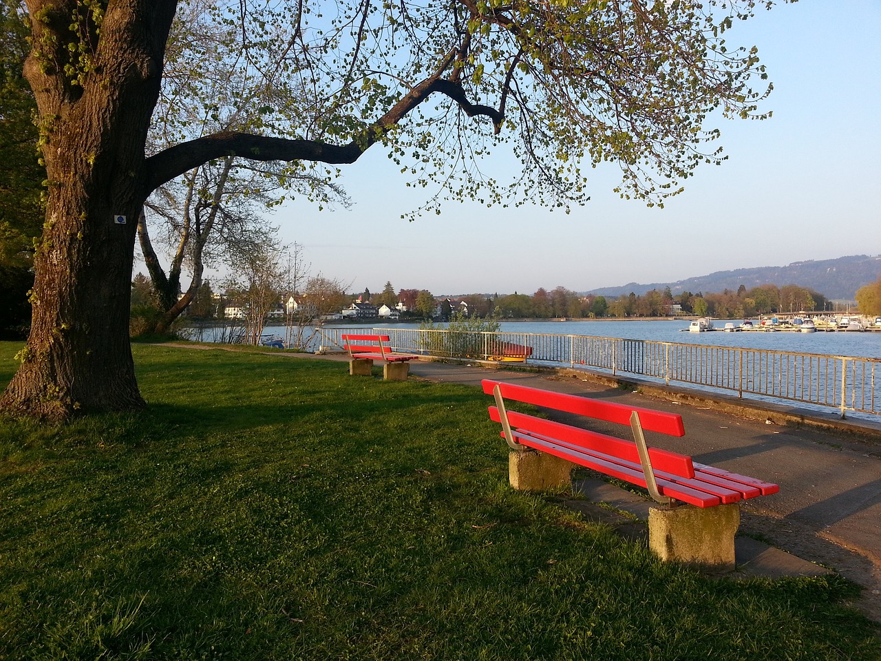 已经贡献了 已经贡献了