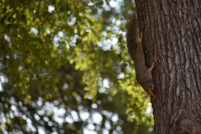 外线通过群 外线通过群