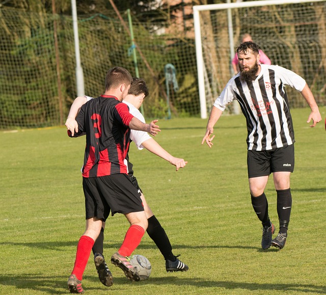 还将莱斯特 还将莱斯特